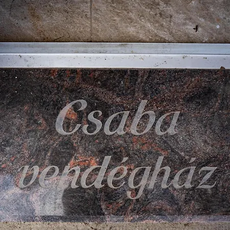 Csaba Vendeghaz 3*
